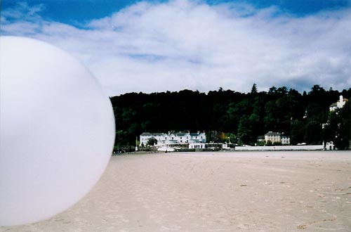 Rover on Beach